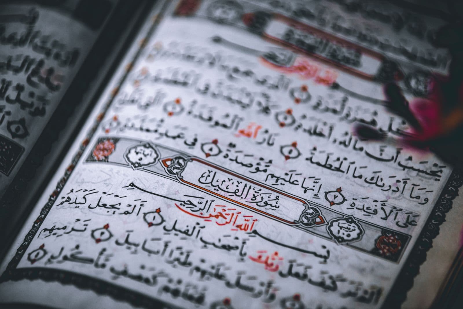 Photo : belal obeid (Pexels) Mushaf du Coran