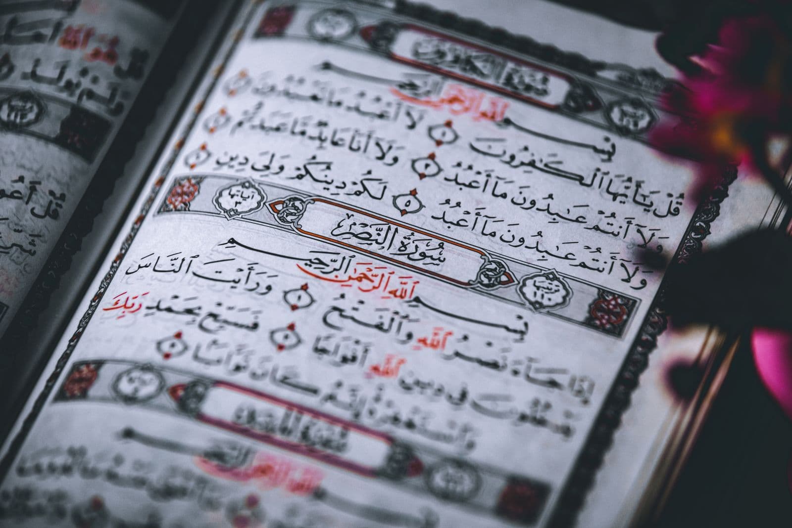 Photo : belal obeid (Pexels) Mushaf du Coran