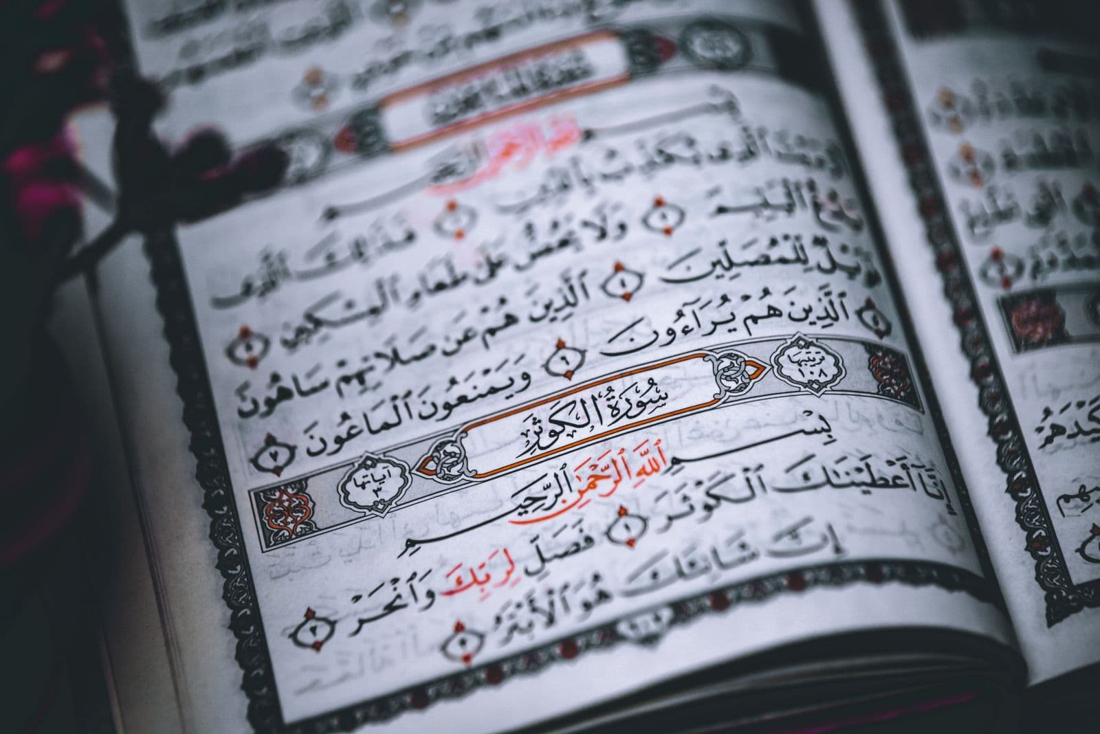 Photo : belal obeid (Pexels) Mushaf du Coran