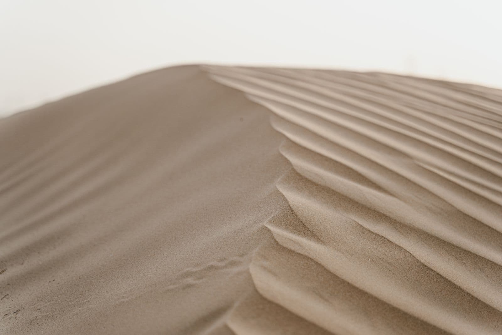 Photo : MART PRODUCTION (Pexels) Dunes du désert