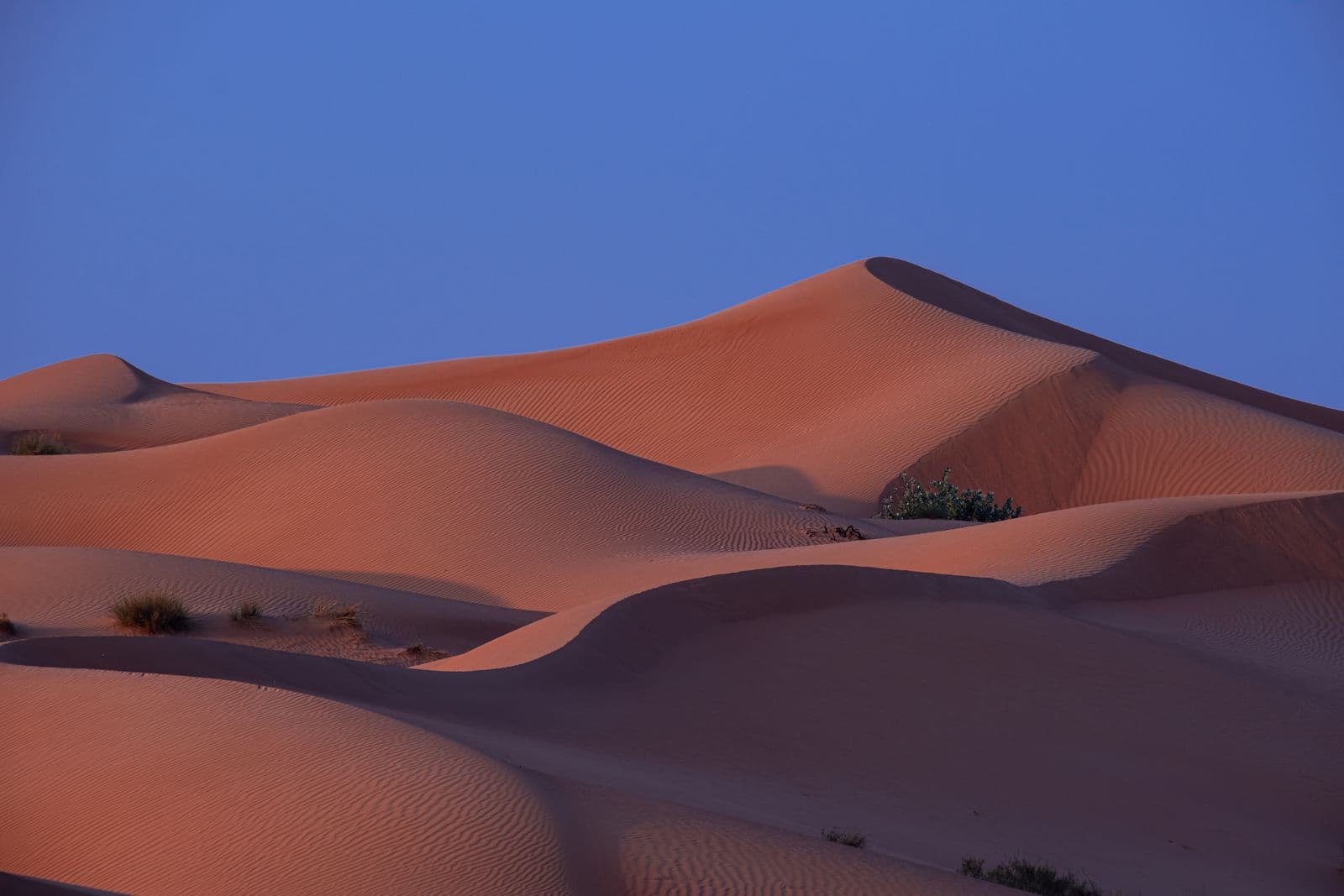 Photo : Mo Eid (Pexels) Dunes du désert