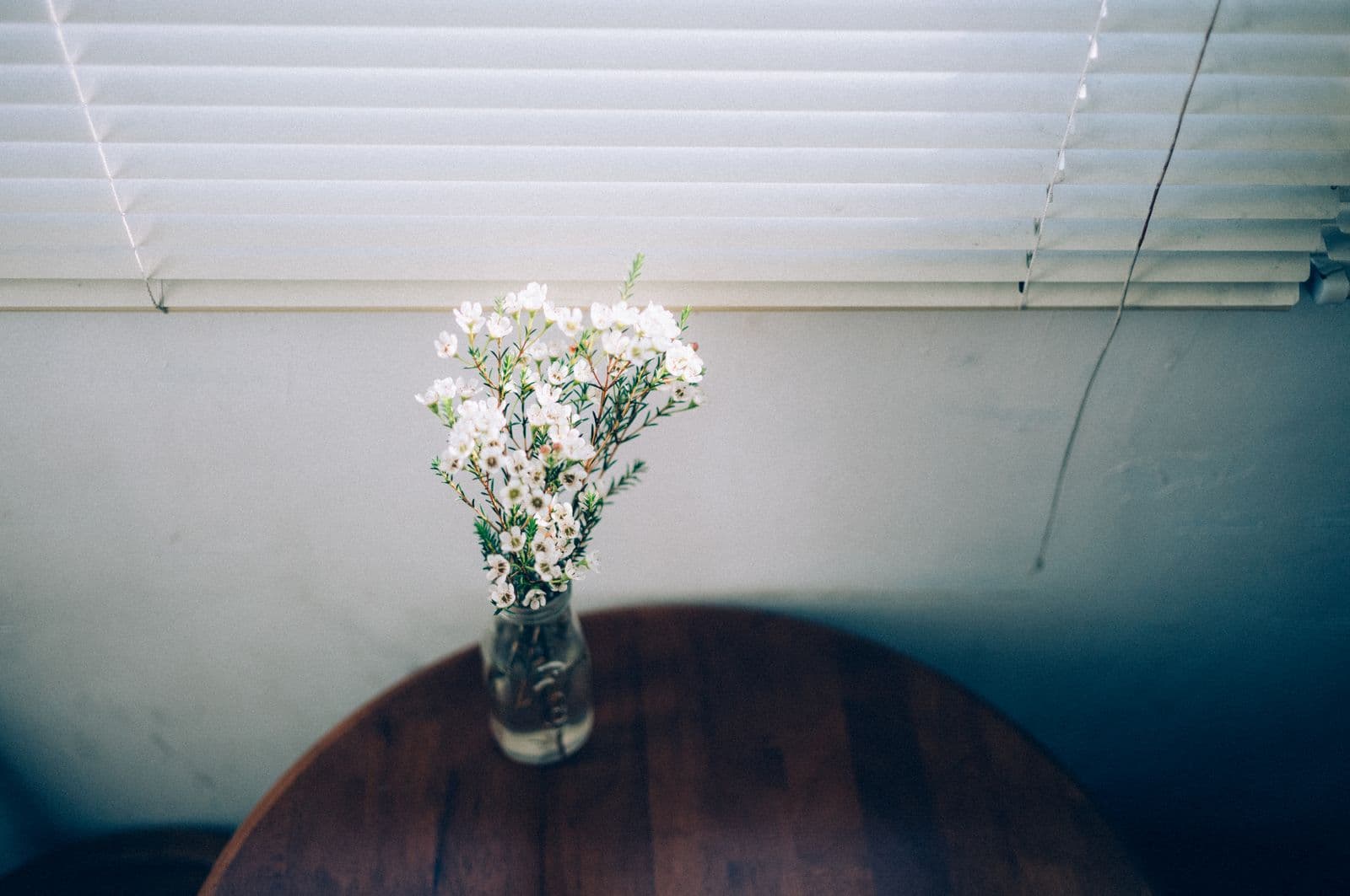 Photo : Dũng Phạm (Pexels) Fleurs délicates