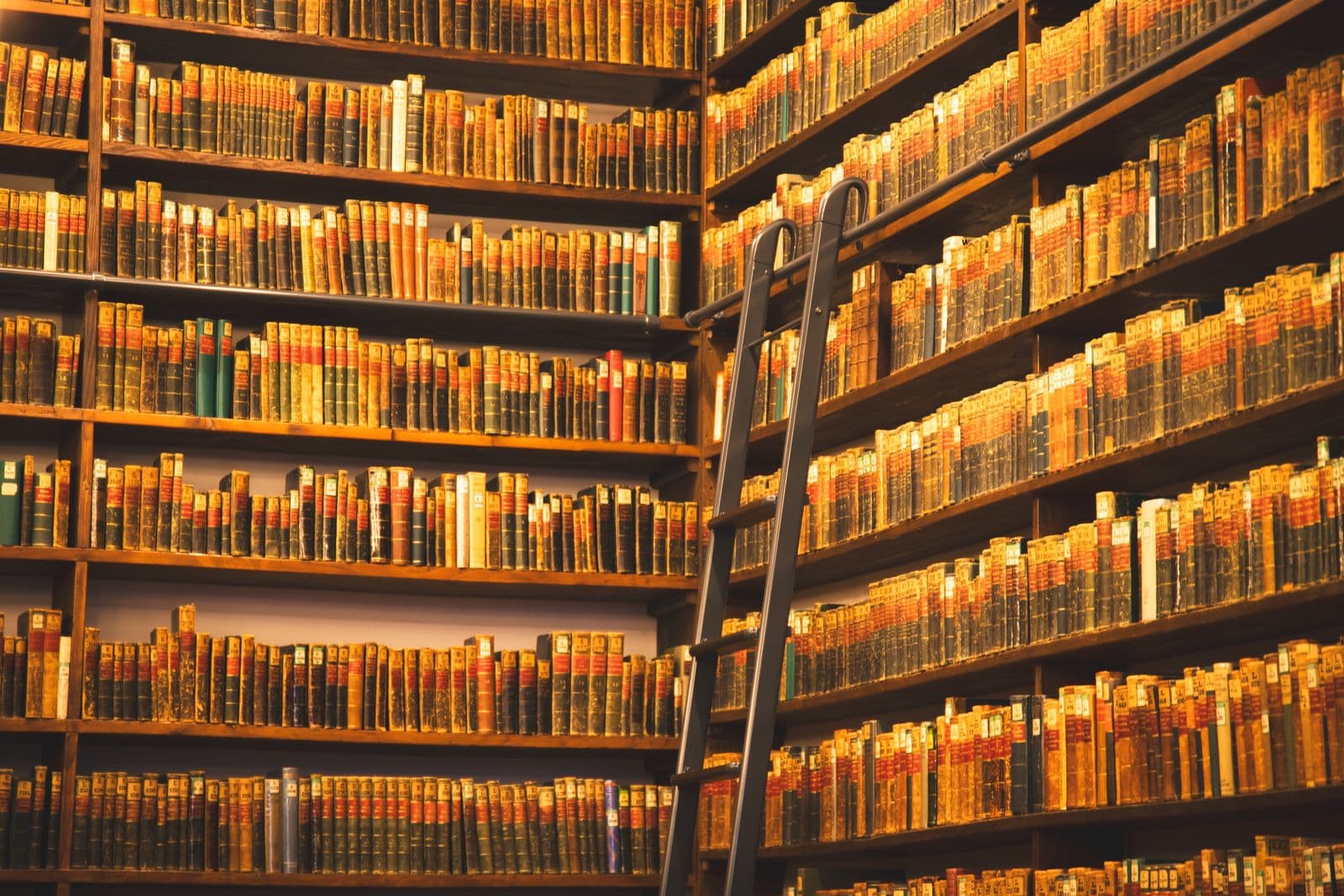 Photo : Gabriel Grip (Pexels) Livres anciens