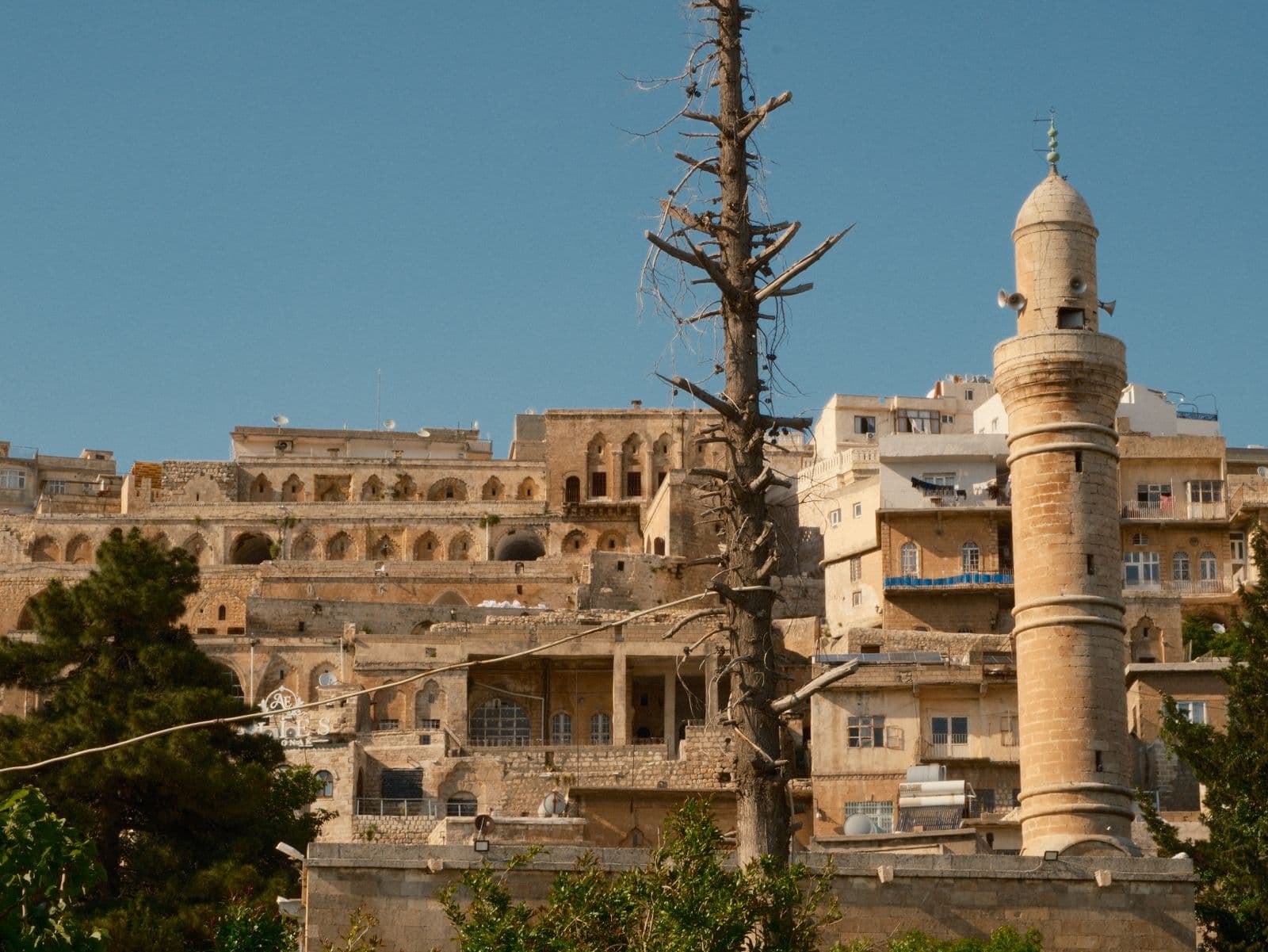 Photo : Hale Ş (Pexels) Architecture de mosquée